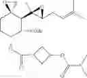 Fig. 237 - Fumagillol heterocyclic compounds and methods of making and using same