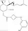 Fig. 241 - Fumagillol heterocyclic compounds and methods of making and using same