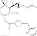 Fig. 243 - Fumagillol heterocyclic compounds and methods of making and using same