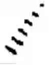 Fig. 06 - DIFLUOROLACTAM COMPOUNDS AS EP4 RECEPTOR-SELECTIVE AGONISTS FOR USE IN THE TREATMENT OF EP4-MEDIATED DISEASES AND CONDITIONS