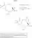 Fig. 335 - DIFLUOROLACTAM COMPOUNDS AS EP4 RECEPTOR-SELECTIVE AGONISTS FOR USE IN THE TREATMENT OF EP4-MEDIATED DISEASES AND CONDITIONS