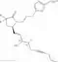 Fig. 443 - DIFLUOROLACTAM COMPOUNDS AS EP4 RECEPTOR-SELECTIVE AGONISTS FOR USE IN THE TREATMENT OF EP4-MEDIATED DISEASES AND CONDITIONS