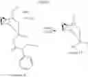 Fig. 27 - Therapeutic compounds and synthesis
