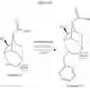 Fig. 34 - Therapeutic compounds and synthesis