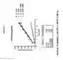 Fig. 40 - BORON-CONTAINING SMALL MOLECULES