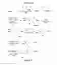 Fig. 09 - Fluorescent labeled inhibitors