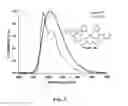 Fig. 06 - Tetradentate and octahedral metal complexes containing naphthyridinocarbazole and its analogues