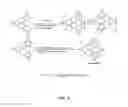 Fig. 09 - Tetradentate and octahedral metal complexes containing naphthyridinocarbazole and its analogues