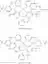 Fig. 458 - Tetradentate and octahedral metal complexes containing naphthyridinocarbazole and its analogues