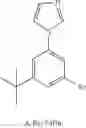 Fig. 481 - Tetradentate and octahedral metal complexes containing naphthyridinocarbazole and its analogues