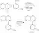Fig. 501 - Tetradentate and octahedral metal complexes containing naphthyridinocarbazole and its analogues