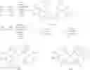 Fig. 543 - Tetradentate and octahedral metal complexes containing naphthyridinocarbazole and its analogues