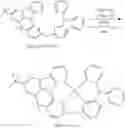 Fig. 549 - Tetradentate and octahedral metal complexes containing naphthyridinocarbazole and its analogues