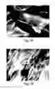 Fig. 04 - WITHAFERIN A ANALOGS AND USES THEREOF