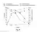 Fig. 06 - WITHAFERIN A ANALOGS AND USES THEREOF