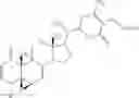 Fig. 34 - WITHAFERIN A ANALOGS AND USES THEREOF
