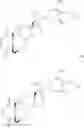Fig. 43 - WITHAFERIN A ANALOGS AND USES THEREOF