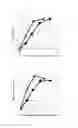 Fig. 04 - Method for producing fibroin-like protein
