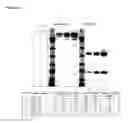 Fig. 02 - Humanized pertussis antibodies and uses thereof
