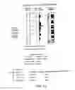 Fig. 15 - NUCLEOTIDE AND AMINO ACID SEQUENCES RELATING TO RESPIRATORY DISEASES AND OBESITY