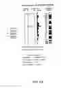 Fig. 26 - NUCLEOTIDE AND AMINO ACID SEQUENCES RELATING TO RESPIRATORY DISEASES AND OBESITY