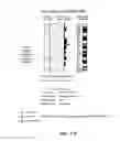 Fig. 28 - NUCLEOTIDE AND AMINO ACID SEQUENCES RELATING TO RESPIRATORY DISEASES AND OBESITY