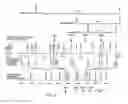 Fig. 29 - NUCLEOTIDE AND AMINO ACID SEQUENCES RELATING TO RESPIRATORY DISEASES AND OBESITY