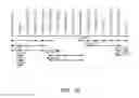 Fig. 30 - NUCLEOTIDE AND AMINO ACID SEQUENCES RELATING TO RESPIRATORY DISEASES AND OBESITY