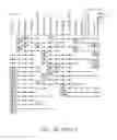 Fig. 37 - NUCLEOTIDE AND AMINO ACID SEQUENCES RELATING TO RESPIRATORY DISEASES AND OBESITY