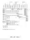 Fig. 41 - NUCLEOTIDE AND AMINO ACID SEQUENCES RELATING TO RESPIRATORY DISEASES AND OBESITY