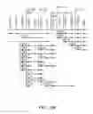 Fig. 44 - NUCLEOTIDE AND AMINO ACID SEQUENCES RELATING TO RESPIRATORY DISEASES AND OBESITY