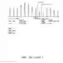 Fig. 45 - NUCLEOTIDE AND AMINO ACID SEQUENCES RELATING TO RESPIRATORY DISEASES AND OBESITY