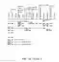 Fig. 47 - NUCLEOTIDE AND AMINO ACID SEQUENCES RELATING TO RESPIRATORY DISEASES AND OBESITY