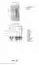 Fig. 48 - NUCLEOTIDE AND AMINO ACID SEQUENCES RELATING TO RESPIRATORY DISEASES AND OBESITY