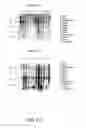 Fig. 52 - NUCLEOTIDE AND AMINO ACID SEQUENCES RELATING TO RESPIRATORY DISEASES AND OBESITY