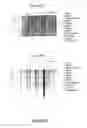 Fig. 60 - NUCLEOTIDE AND AMINO ACID SEQUENCES RELATING TO RESPIRATORY DISEASES AND OBESITY