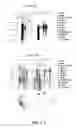 Fig. 67 - NUCLEOTIDE AND AMINO ACID SEQUENCES RELATING TO RESPIRATORY DISEASES AND OBESITY