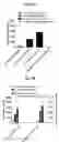 Fig. 06 - Thymic stromal lymphopoietin (TSLP)-binding molecules and methods of using the molecules