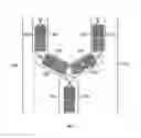Fig. 07 - Compositions and methods related to engineered Fc constructs