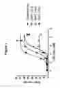Fig. 09 - Monoclonal antibodies against HER2 epitope and methods of use thereof