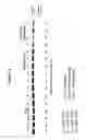 Fig. 12 - Monoclonal antibodies against HER2 epitope and methods of use thereof