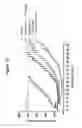 Fig. 16 - Monoclonal antibodies against HER2 epitope and methods of use thereof