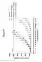 Fig. 18 - Monoclonal antibodies against HER2 epitope and methods of use thereof