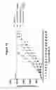 Fig. 20 - Monoclonal antibodies against HER2 epitope and methods of use thereof