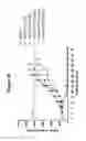Fig. 24 - Monoclonal antibodies against HER2 epitope and methods of use thereof