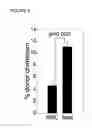 Fig. 06 - Selective immunodepletion of endogenous stem cell niche for engraftment
