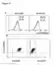 Fig. 04 - PHARMACEUTICAL COMPOSITION COMPRISING AN ANTI-CD6 MONOCLONAL ANTIBODY USED IN THE DIAGNOSIS AND TREATMENT OF RHEUMATOID ARTHRITIS