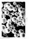 Fig. 05 - Dissolution of oxidized cellulose