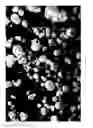 Fig. 08 - Dissolution of oxidized cellulose