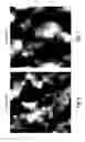 Fig. 09 - Fluoro-alcohol additives for orientation control of block copolymers